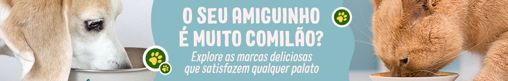 O seu amiguinho é muito comilão?