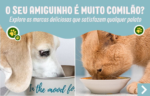 O seu amiguinho é muito comilão?