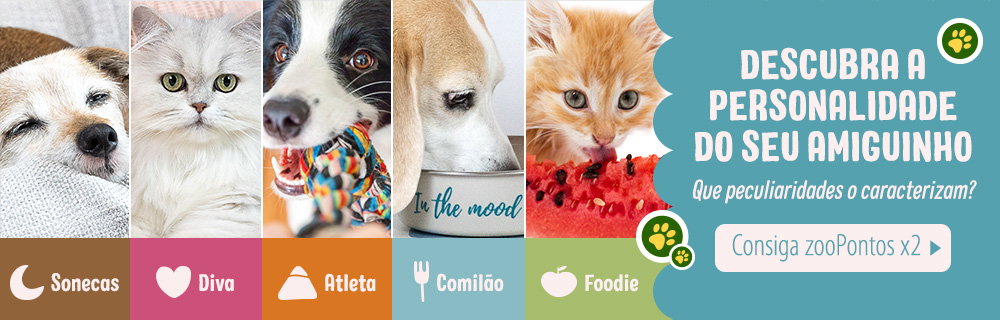 Qual a personalidade do seu gato? 🐱