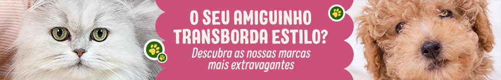 O seu amiguinho transborda estilo?