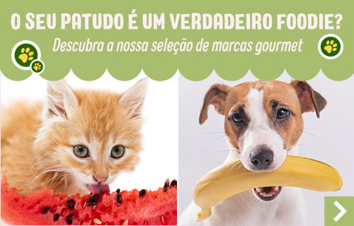 O seu patudo é um verdadeiro foodie?