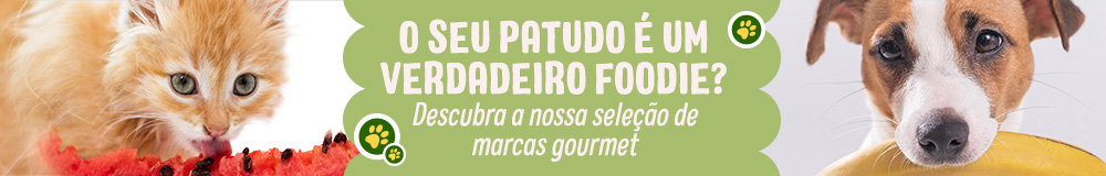 O seu patudo é um verdadeiro foodie?