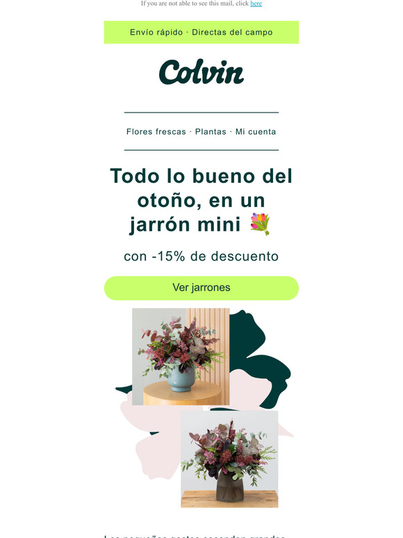 -15% en nuestros mini jarrones de otoño 💐🤏