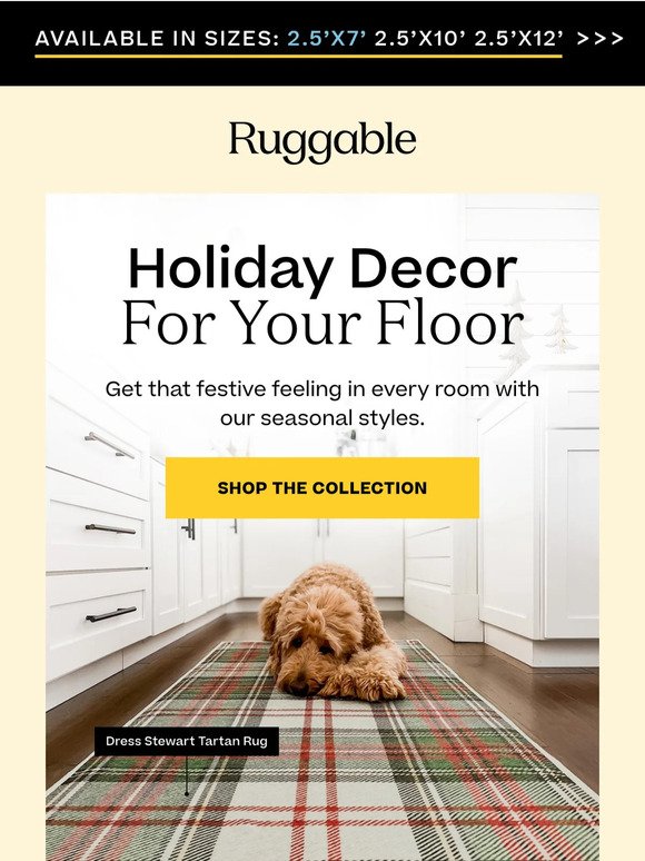 Holiday Rugs Are Here!