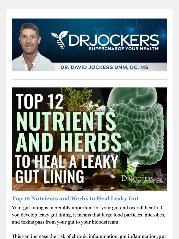 Top 12 Nutrients & Herbs to Heal Leaky Gut Milled