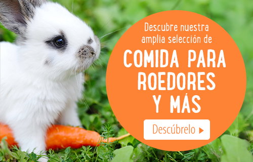 Comida para roedores y más