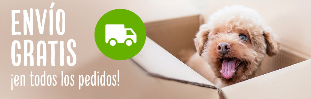 Envío gratis en todos los pedidos