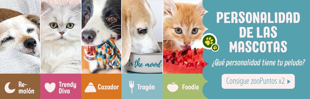 Personalidad de las mascotas, ¿Cuál tiene tu peludo?
