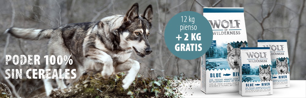 Wolf of Wilderness 14 kg pienso en oferta: 12 + 2 ¡gratis!