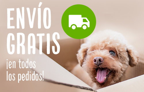 Envío gratis en todos los pedidos