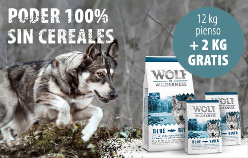 Wolf of Wilderness 14 kg pienso en oferta: 12 + 2 ¡gratis!