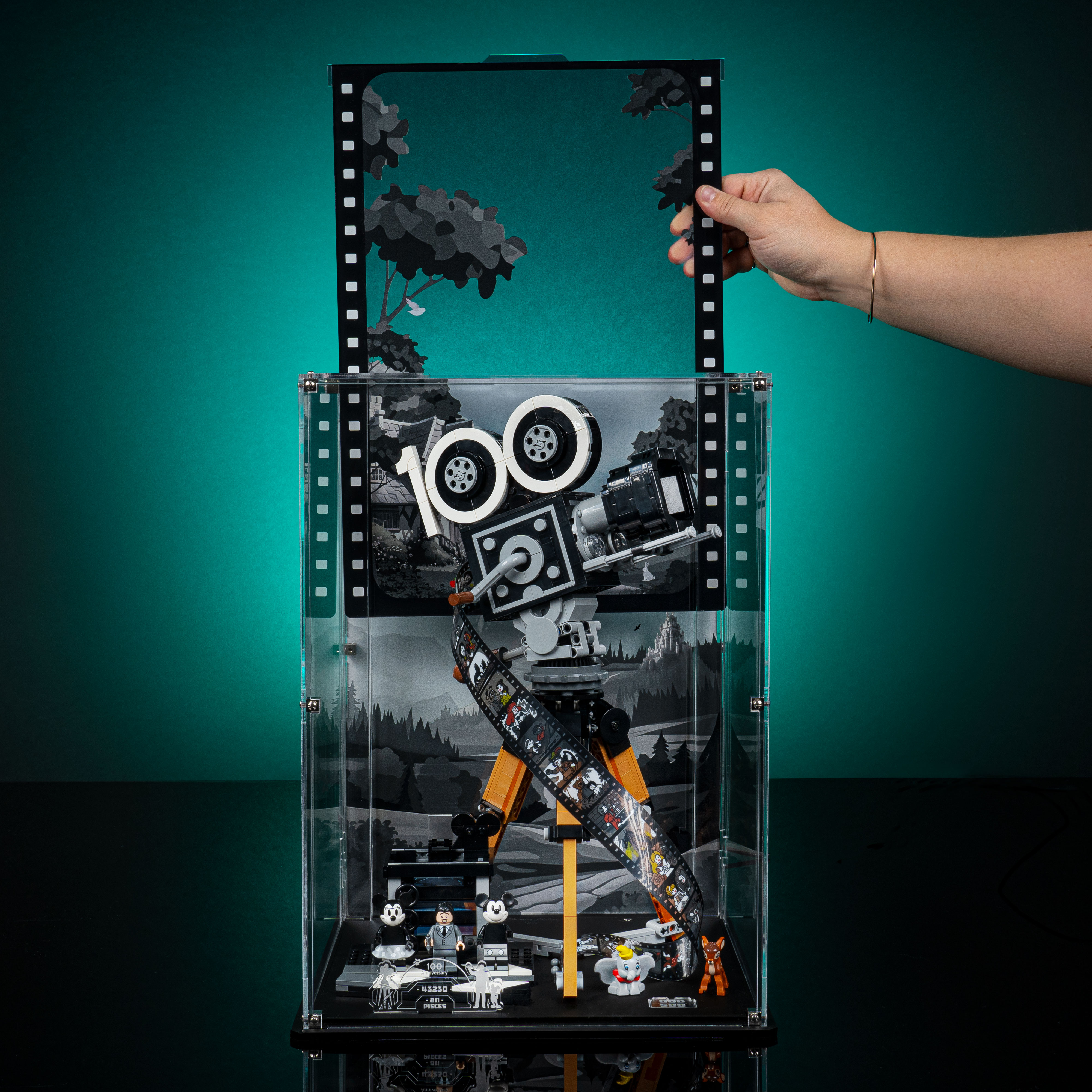 Wicked Brick First look Limited Edition Disney Camera display case