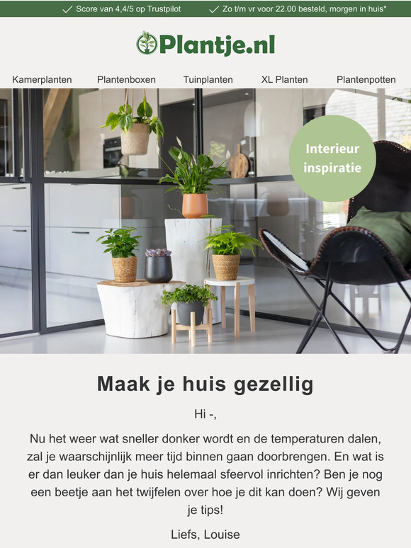 Groene interieurinspiratie 💚