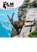 Jagd Broschüre Almwalker