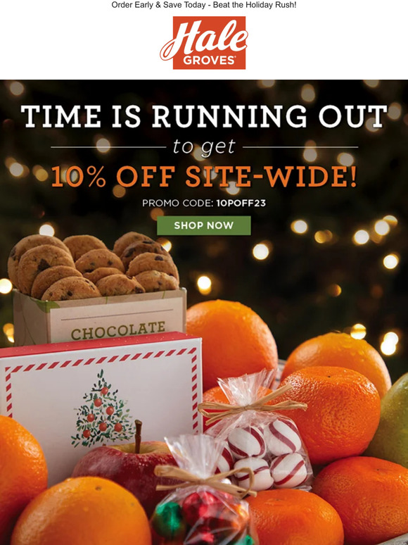 🍊 Time Is Running Out to get 10% Off Site-Wide!