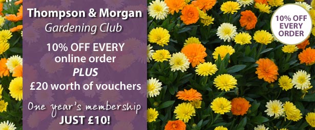 Gardening Club