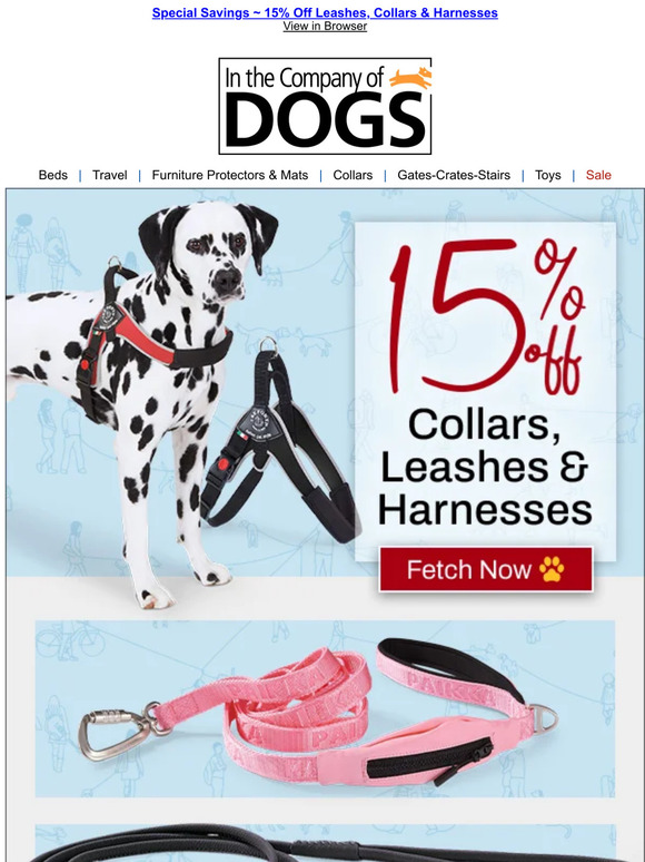In The Company of Dogs Save on Collars, Leashes & Harnesses 15 Off