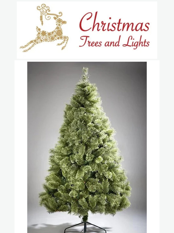 Another exceptional Christmas Tree deal!