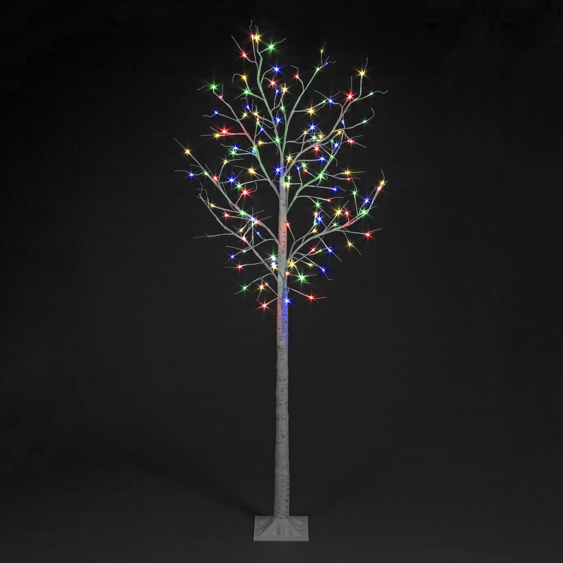 Birch Tree With Multi-Coloured LEDs