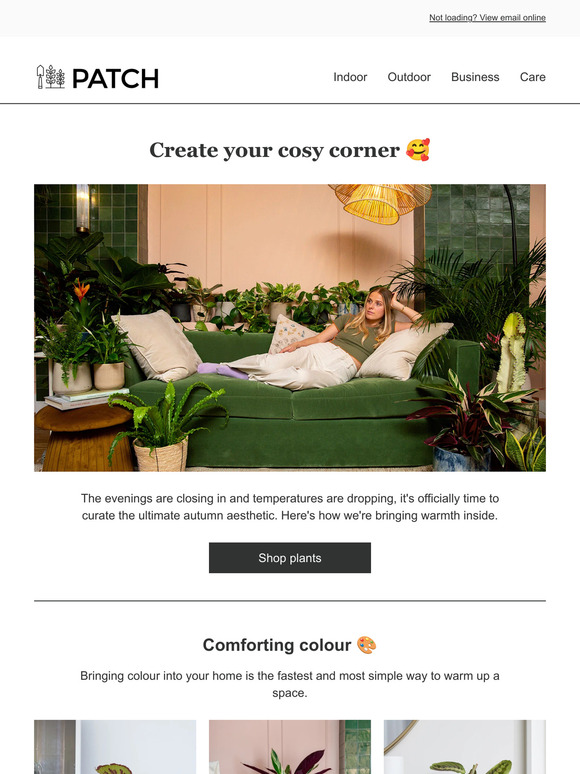 Patch Plants The ultimate cosy corner 🫶 Milled