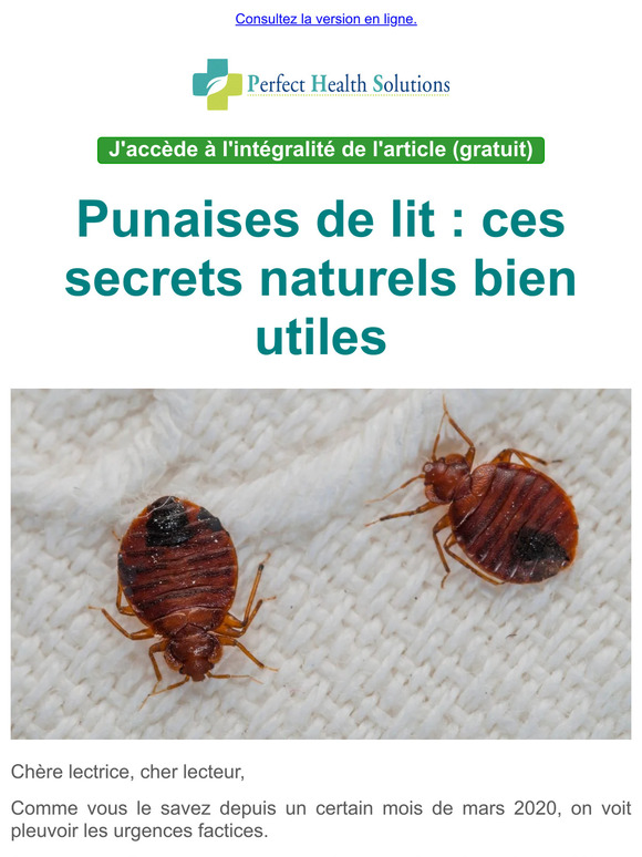 Perfect Health Solutions: Punaises De Lit : Ces Secrets Naturels Bien ...