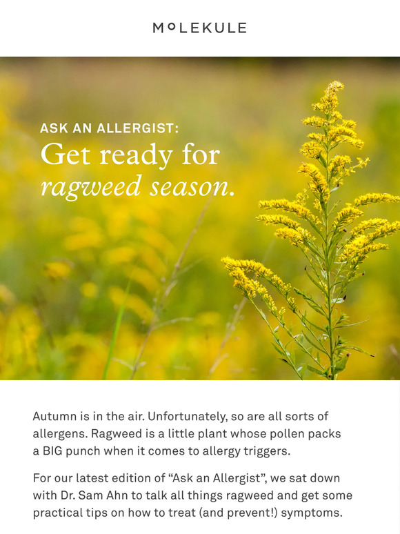 Ragweed allergies are a drag. 🤧