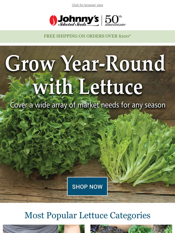 Grow Year-Round with Lettuce