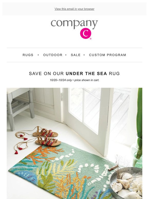 Last Day to Save on Under the Sea Rug