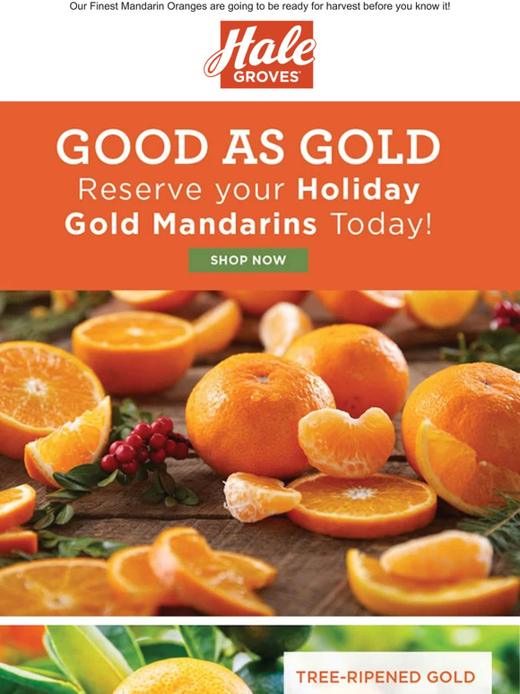 Good as Gold - Reserve your Holiday Gold Mandarins Today!