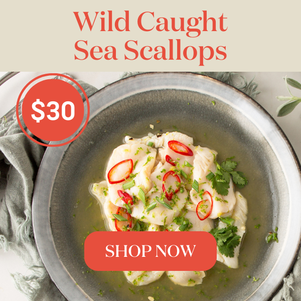 Wild Caught Sea Scallops