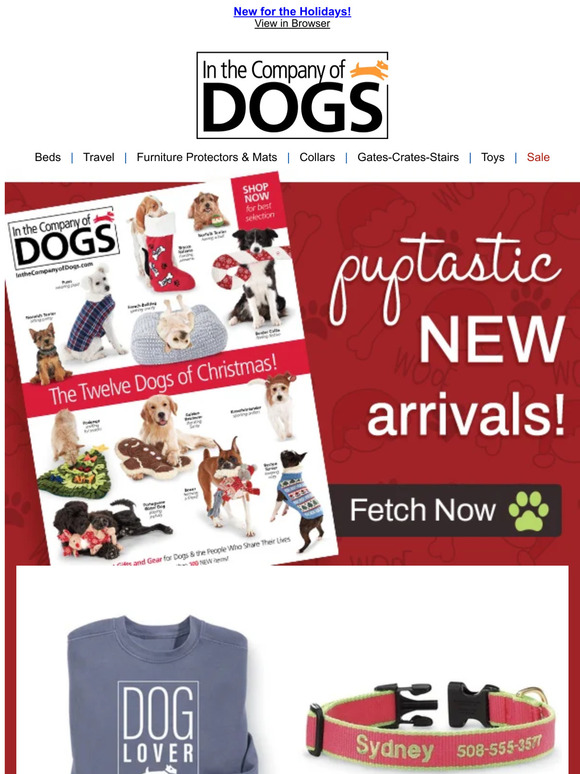 In The Company of Dogs Your NEW Catalog is in the Mail Get Inspired