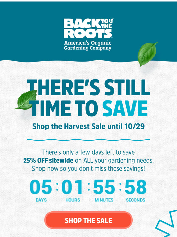 Our 25% OFF Sale Won’t Stick Around Forever!!