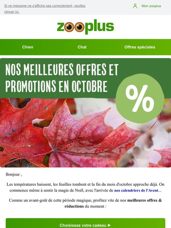 Nos offres presque magiques du mois d'octobre ✨