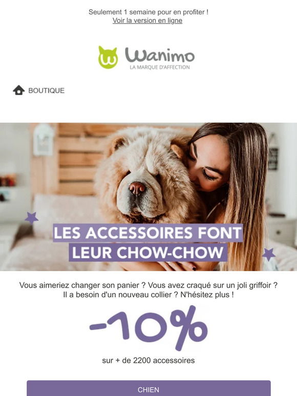 Souris connectée : Souris pour chat - Wanimo