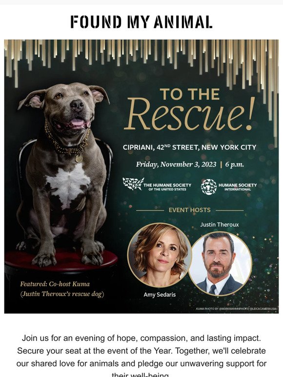 Join the Humane Society for their annual benefit, To the Rescue! 🧡