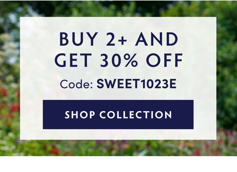 BUY 2+ AND GET 30% OFF Code: SWEET1023E SHOP NOW