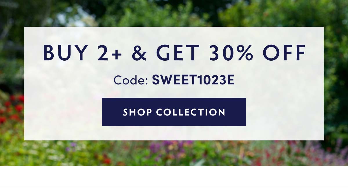 BUY 2+ AND GET 30% OFF Code: SWEET1023E SHOP NOW