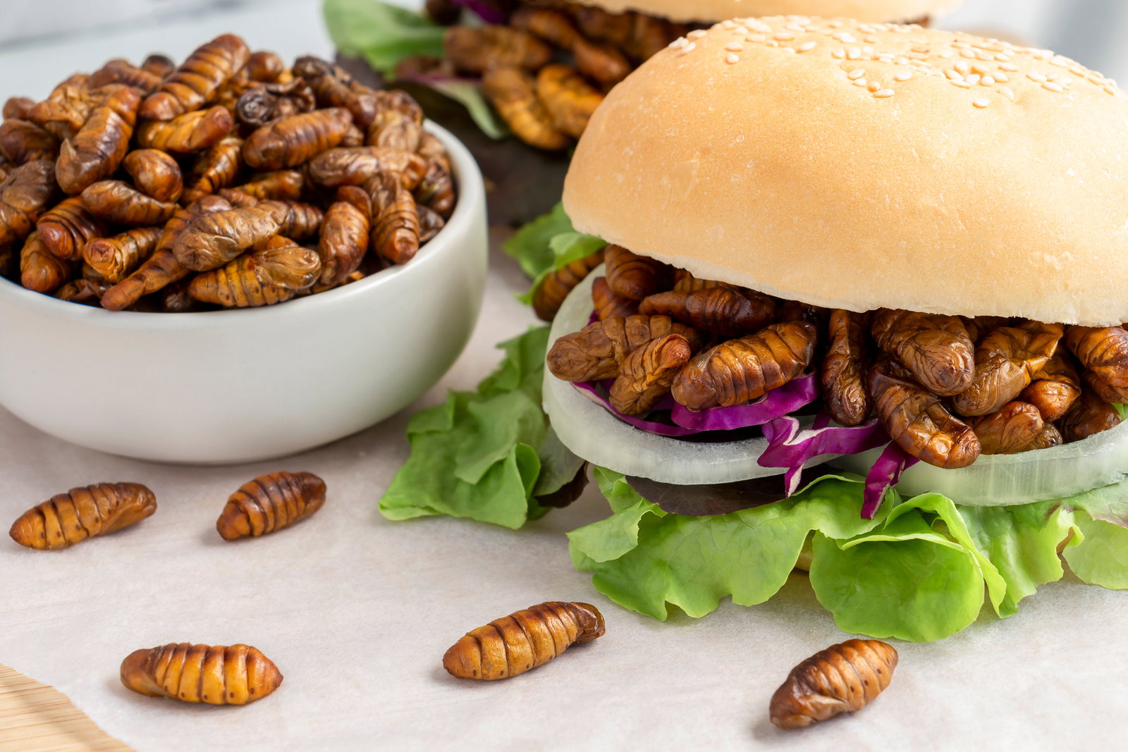Tyson Foods Invests In Insect Protein, And We're Buggin