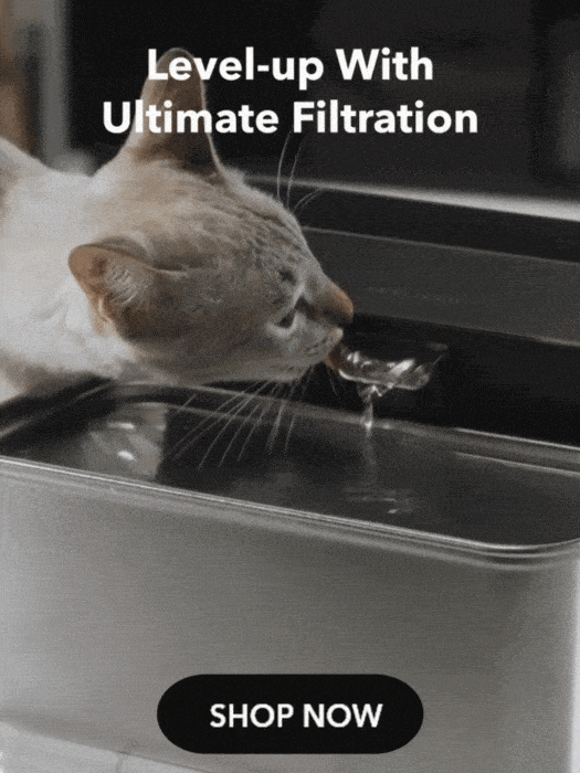 Level Up With Ultimate Filtration