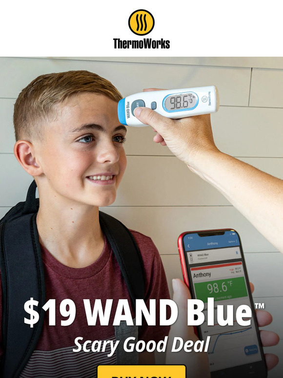 ThermoWorks 19 WAND Blue NoTouch Forehead Thermometer Milled