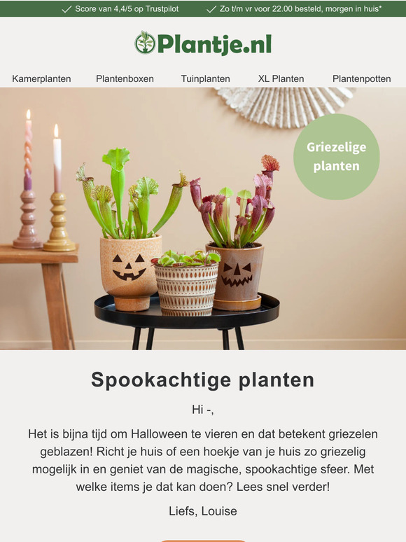 Maak je huis klaar voor Halloween ���