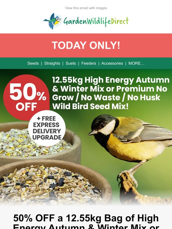 HURRY!! 50% Off Our 2 Best Selling Seed Mixes + FREE Express Delivery!