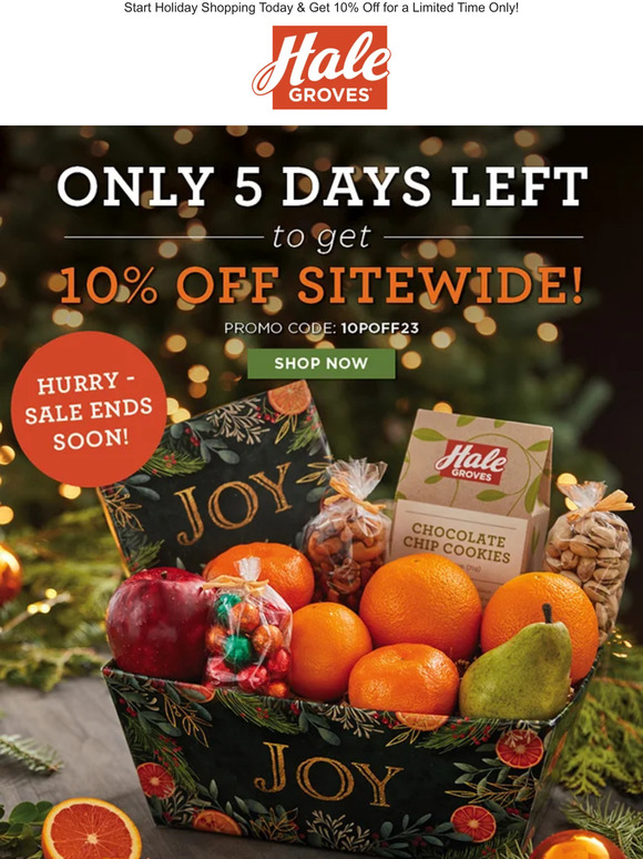 🍊 Only 5 Days Left to get 10% Off Site-Wide!