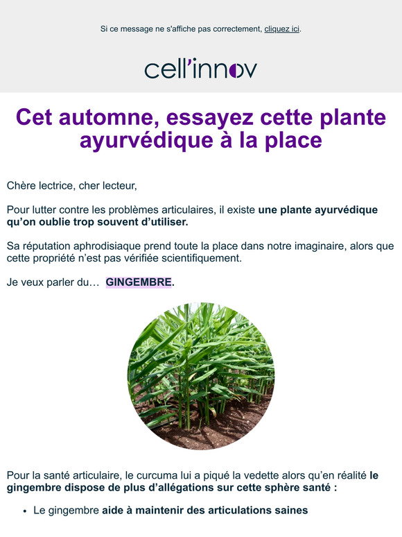 Complément Alimentaire Arthrylax PURVIVAL Pour Le Confort Articulaire - 300ml - Pér. 04/2027