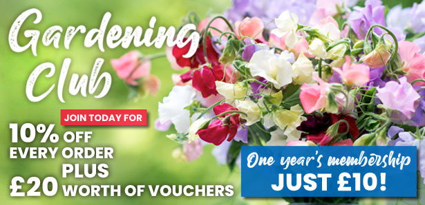 Suttons Gardening Club
