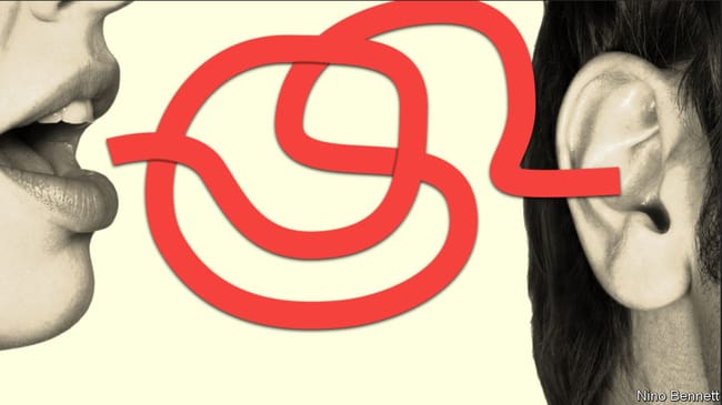 Image article 8
