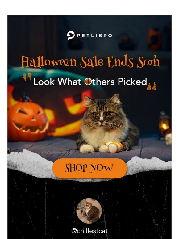 FINAL CHANCE⏰: Halloween Sale is Ending