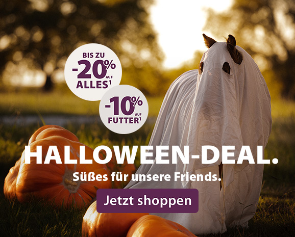 EQUIVA Halloween-Deal