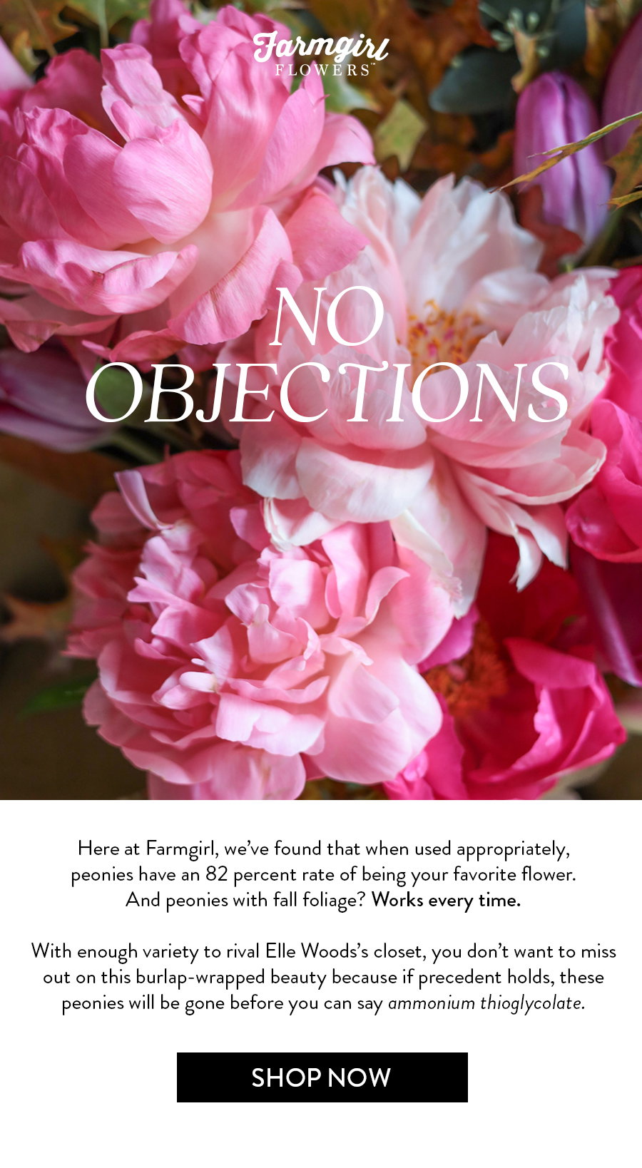 Here at Farmgirl, we’ve found that when used appropriately, peonies have an 82 percent rate of being your favorite flower. And peonies with fall foliage? Works every time.   With enough shades of pink to rival Elle Woods’s closet, you don’t want to miss out on this burlap-wrapped beauty because if precident holds, these peonies will be gone before you can say ammonium thioglycolate.