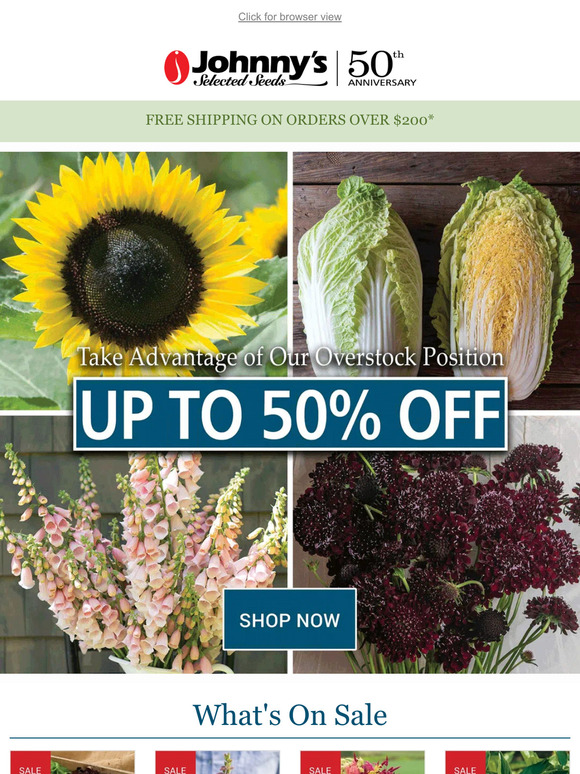 What's on Sale